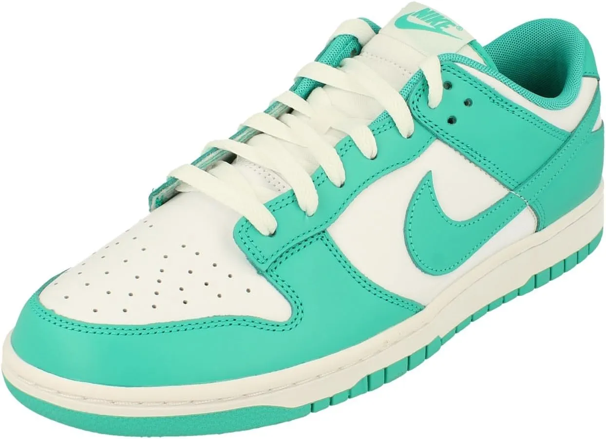 Nike Men's Dunk Low Retro Sneaker