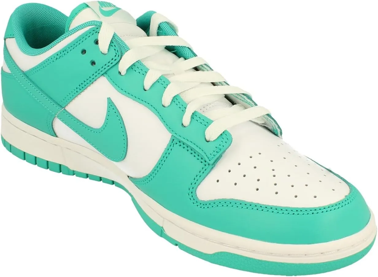 Nike Men's Dunk Low Retro Sneaker