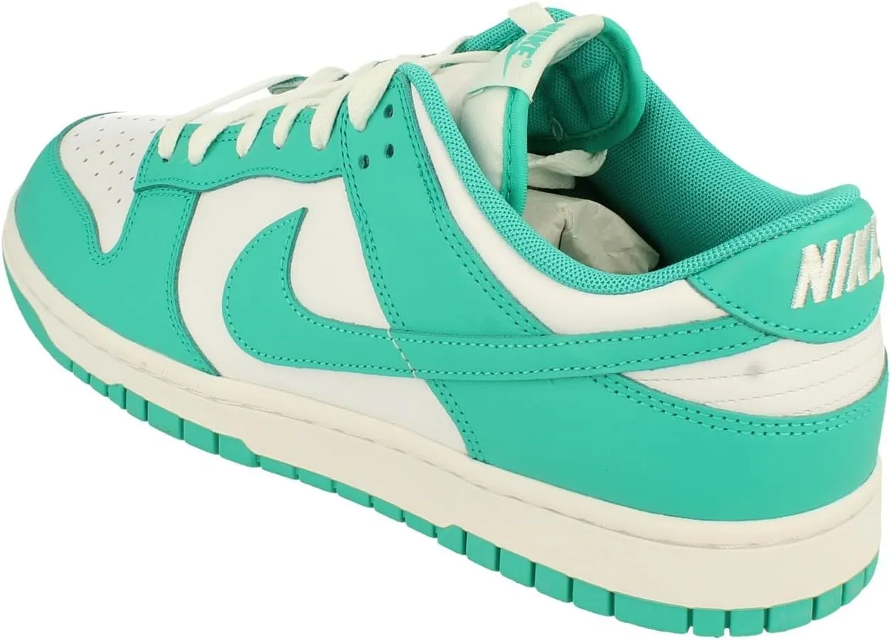 Nike Men's Dunk Low Retro Sneaker